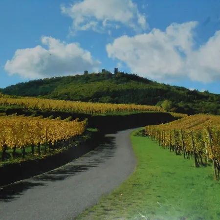 Holiday home Gite Le Hissala Eguisheim