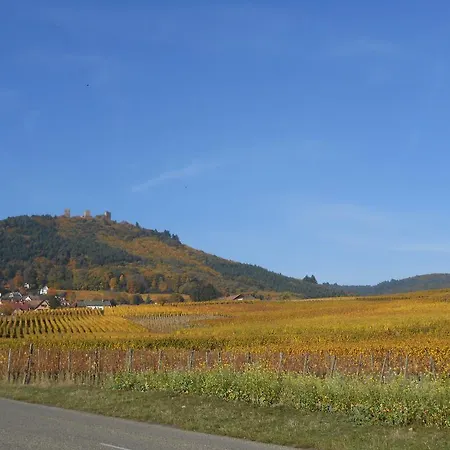 Holiday home Gite Le Hissala Eguisheim